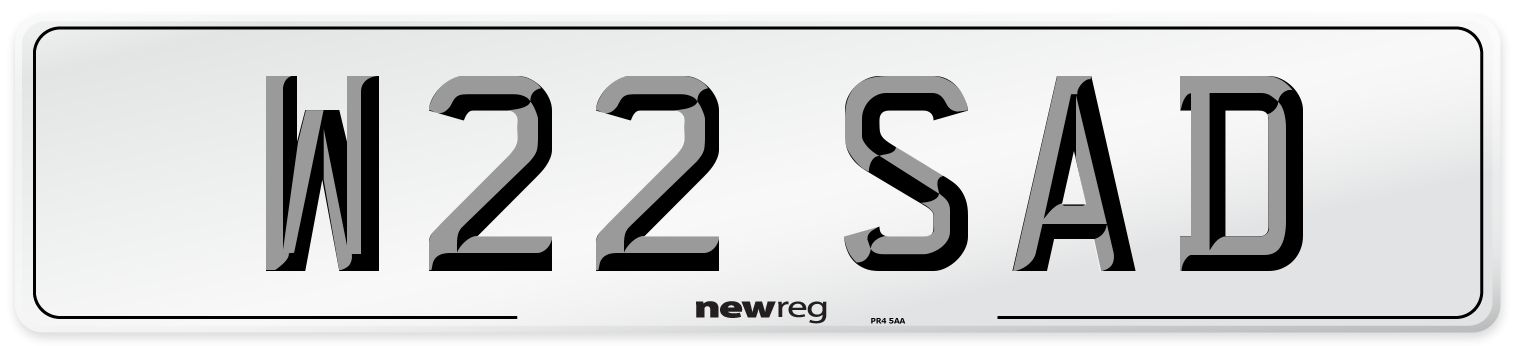 W22 SAD Number Plate from New Reg
